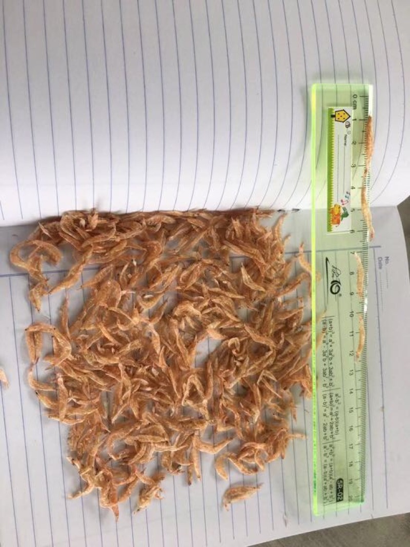 虾皮一级