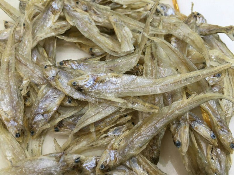 毛刀鱼