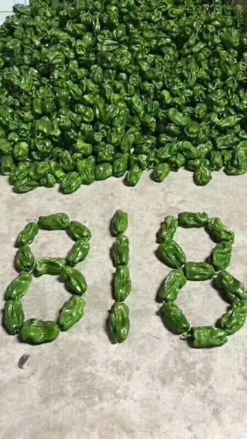 蔬菜