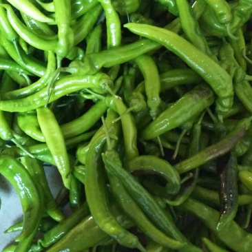 蔬菜