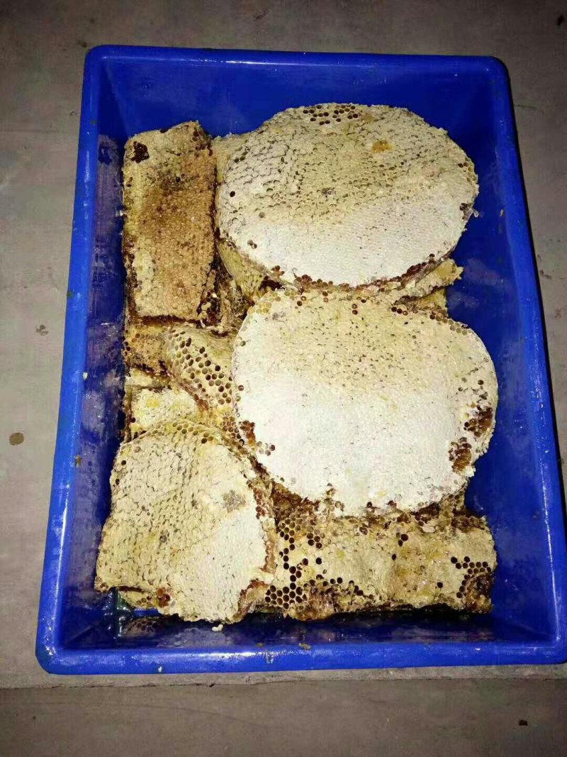 甘肃陇南土蜂蜜