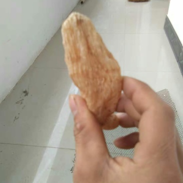 干天麻