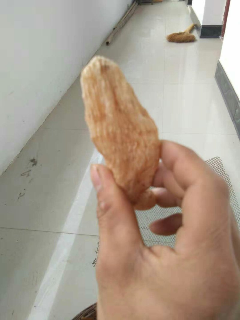 干天麻