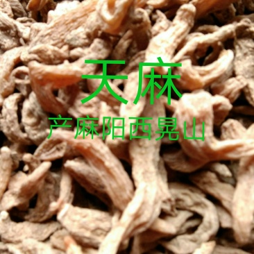 天麻