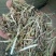 河南永嘉草业常年供应优质花生秧草料（草段草粉细糠）