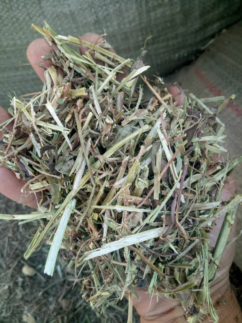 河南永嘉草业常年供应优质花生秧草料（草段草粉细糠）