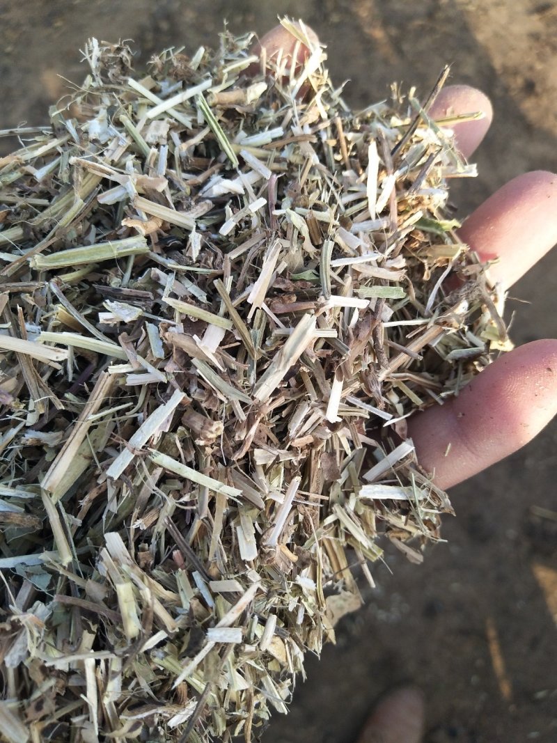 河南永嘉草业常年供应优质花生秧草料（草段草粉细糠）