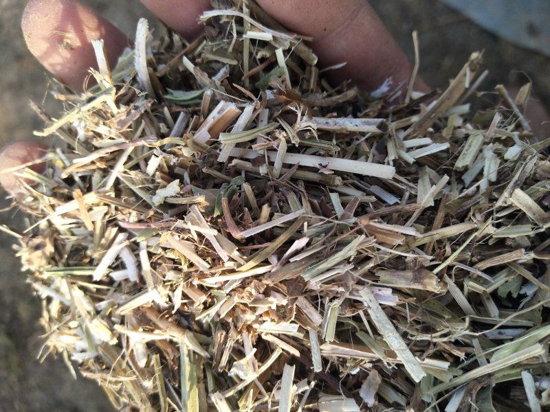 河南永嘉草业常年供应优质花生秧草料（草段草粉细糠）