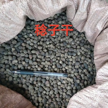 稔子干产地直销品质保证价格优惠欢迎选购。