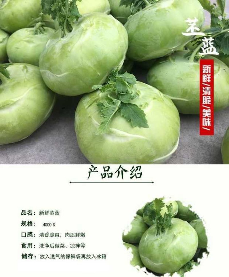 天津特产优质蔬菜新鲜脆嫩苤茢苤蓝土苤茄莲球茎甘蓝