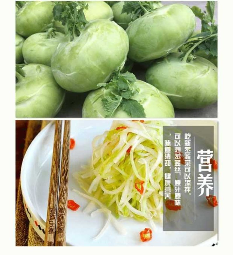 天津特产优质蔬菜新鲜脆嫩苤茢苤蓝土苤茄莲球茎甘蓝