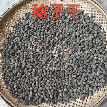 稔子干产地直销品质保证价格优惠欢迎选购