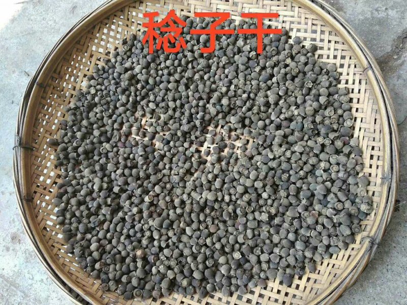稔子干产地直销品质保证价格优惠欢迎选购