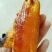 【优质】烟薯25条形好无虫眼黑斑口感好量大从优现挖现卖
