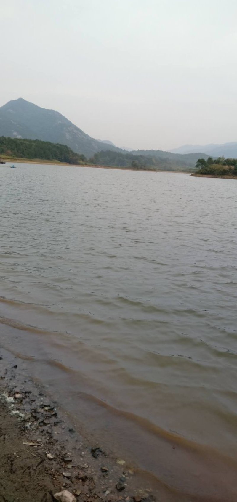 水库