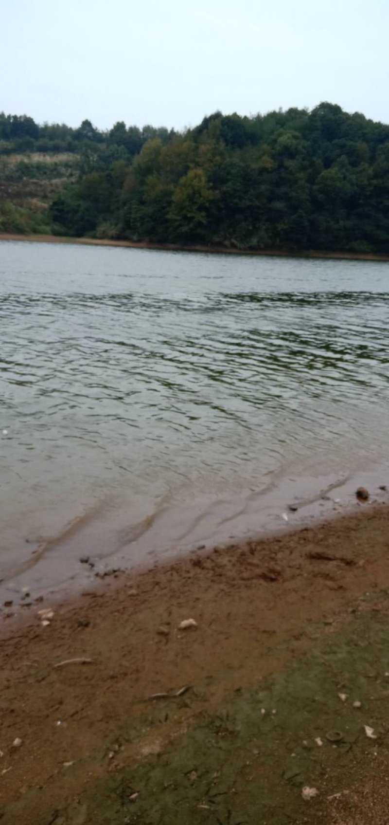 水库