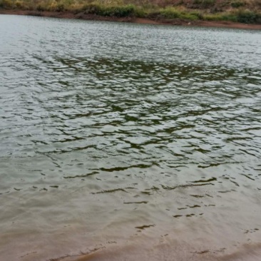 水库