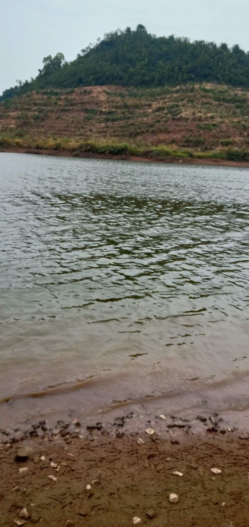 水库