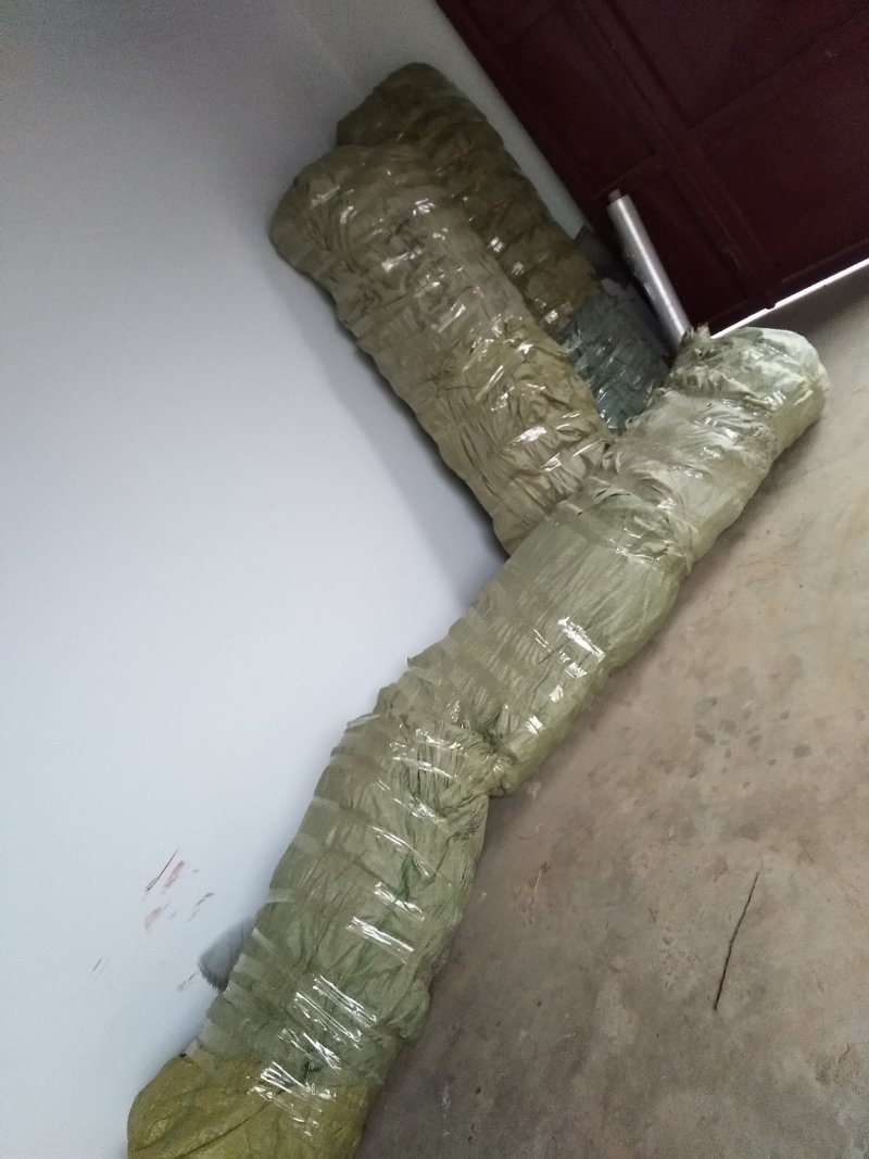 高钙果苗1-3年生，欧李，农大系列钙果苗，
