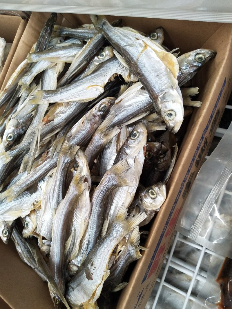 翘嘴鱼干白鱼干