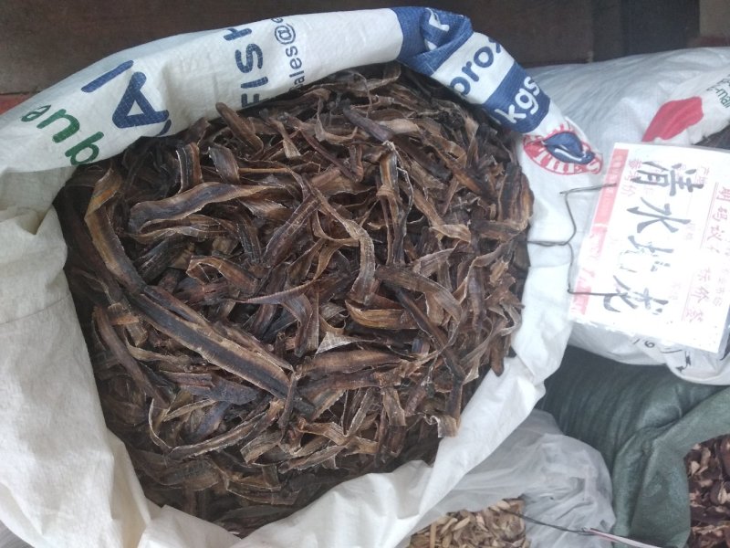地龙清水全开