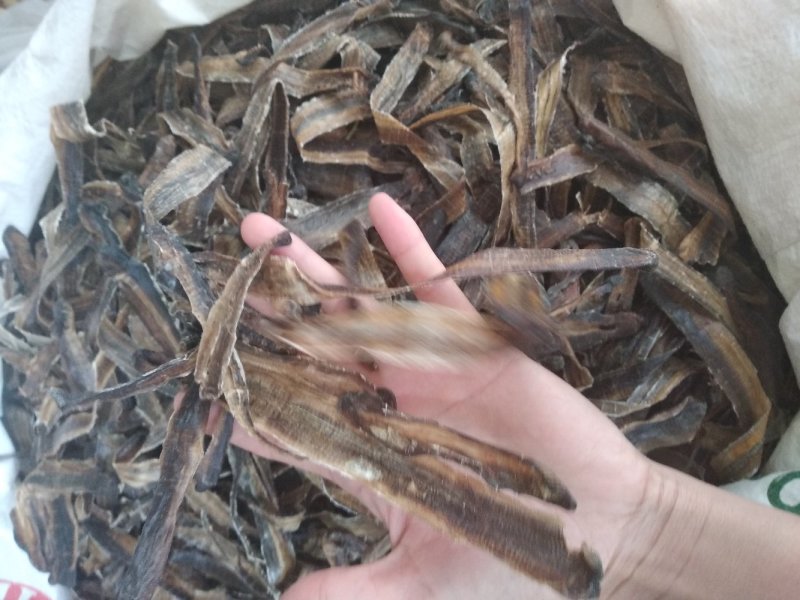 地龙清水全开