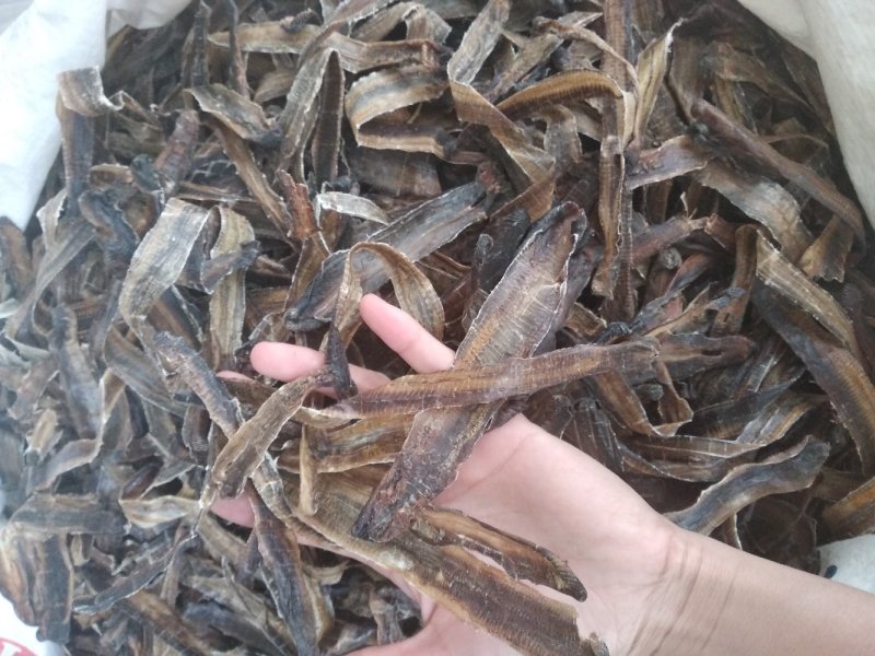 地龙清水全开