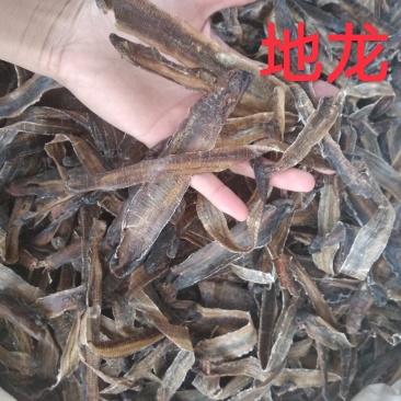 地龙清水全开