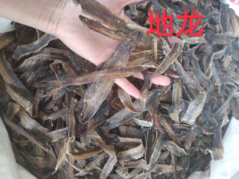 地龙清水全开