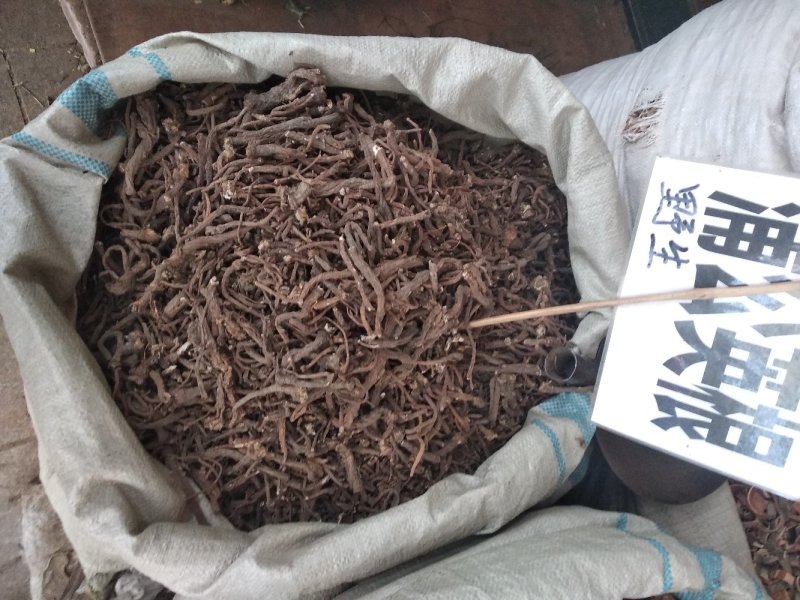蒲公英根野生入药类，非泡茶