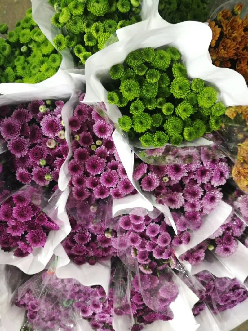 鲜切花