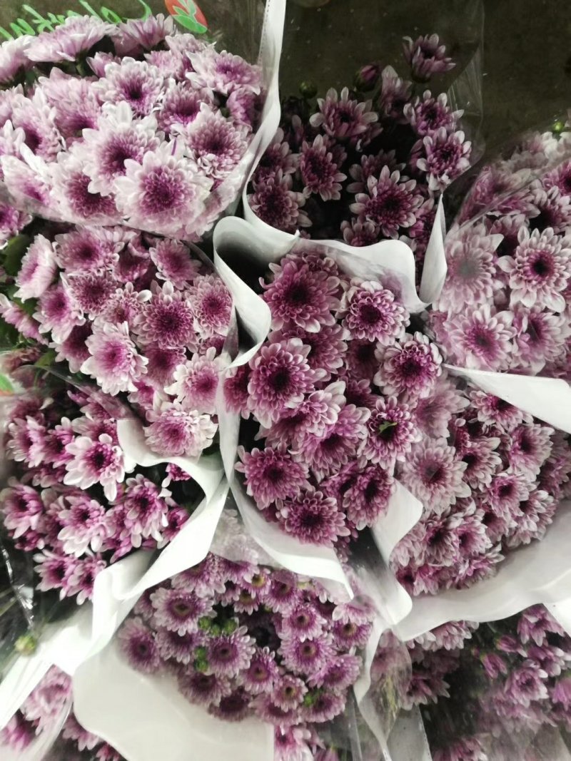 鲜切花