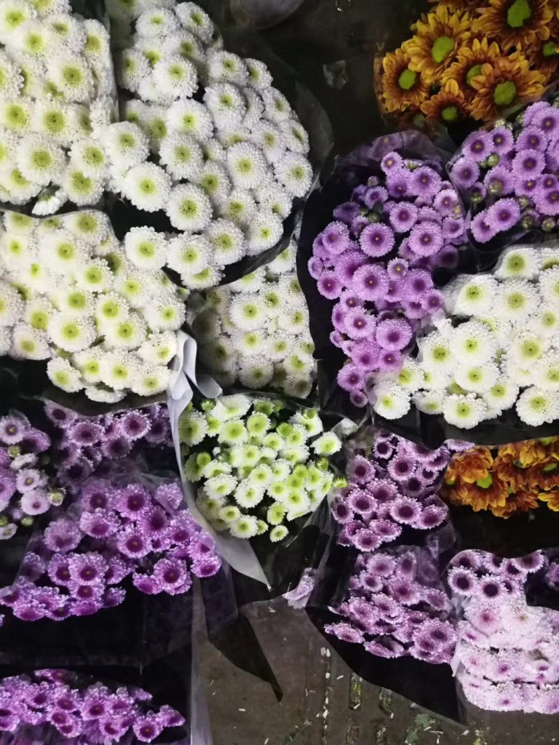 鲜切花
