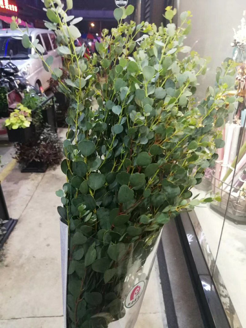 鲜切花