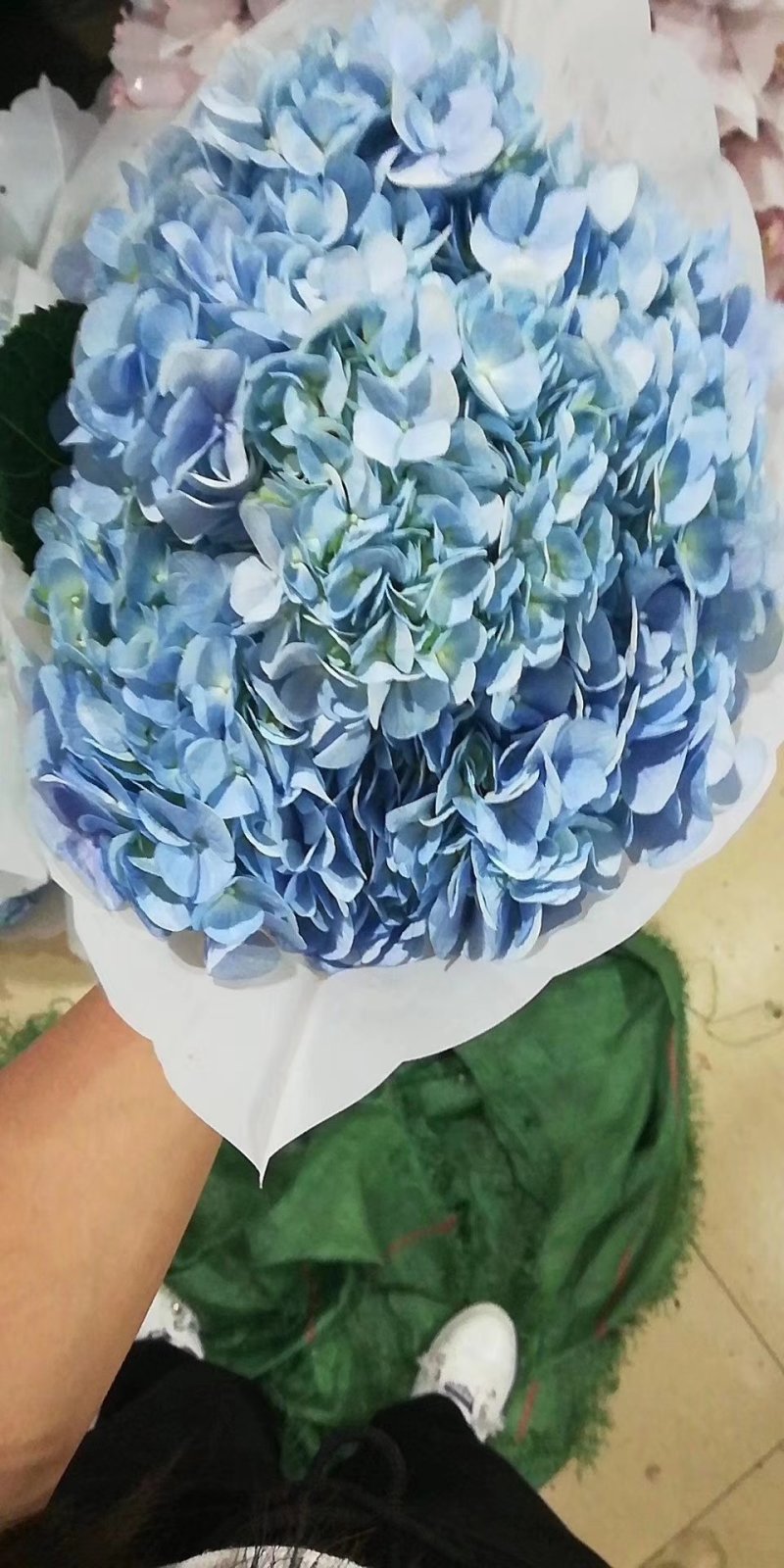 昆明玫瑰花，A级玫瑰花