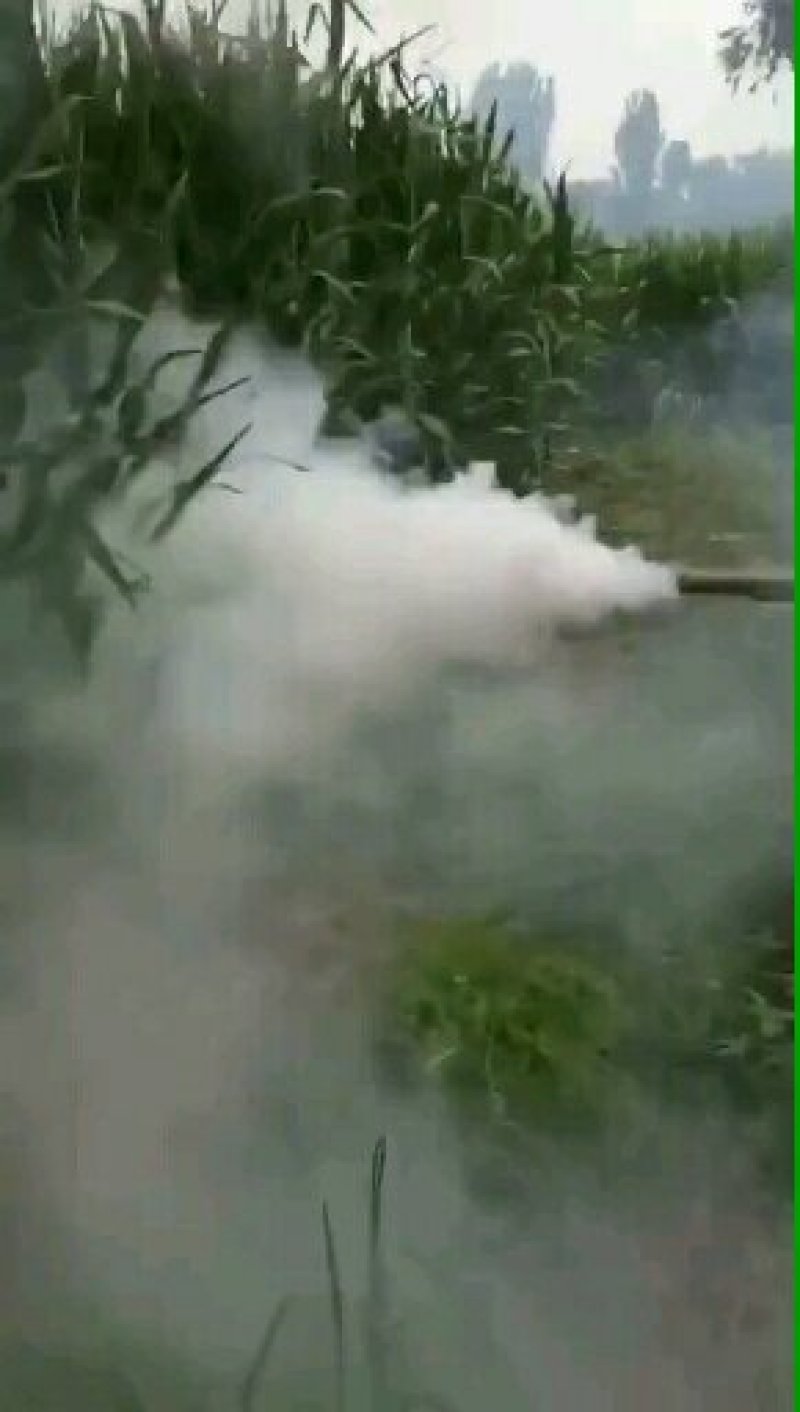 迷雾机打药机喷雾器汽油打药机手提风力迷雾机