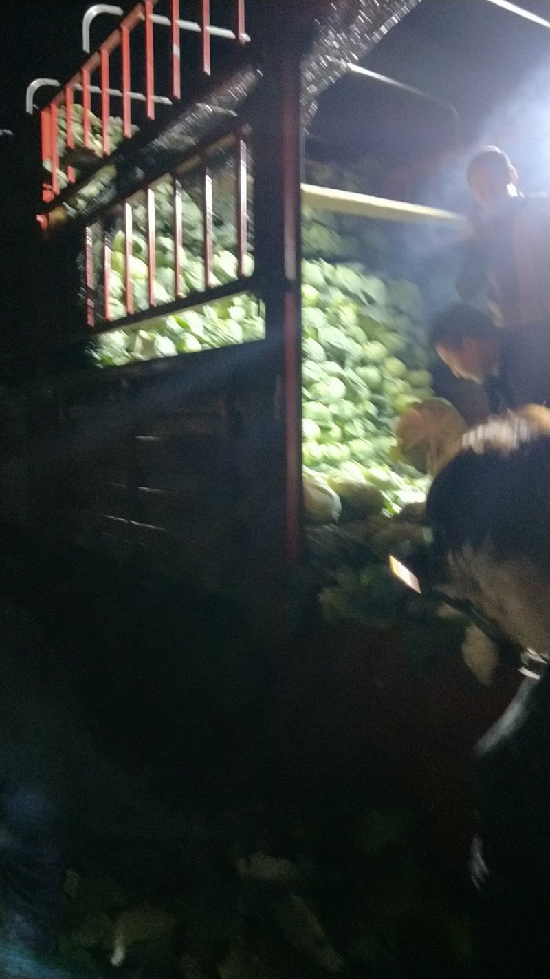 山东青岛平度（走市场加工厂）扁包菜2~3公斤