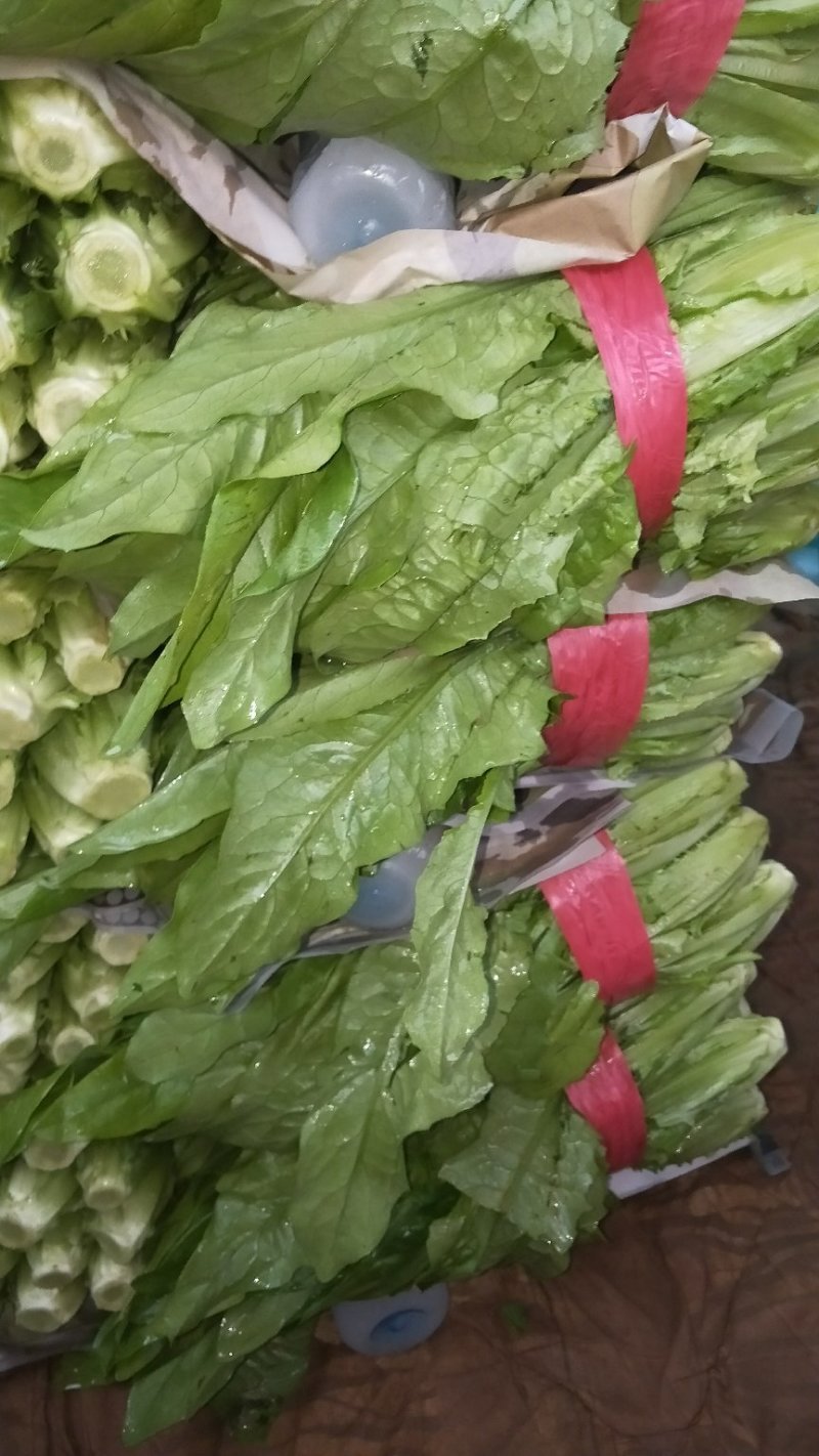 油麦
