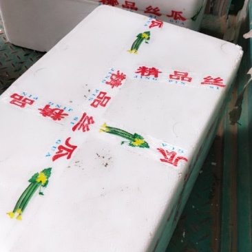 丝瓜