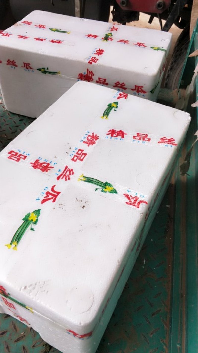 丝瓜