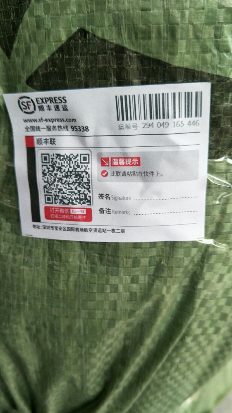 黄金奈李苗品种保证目前畅销品种市价高效益好