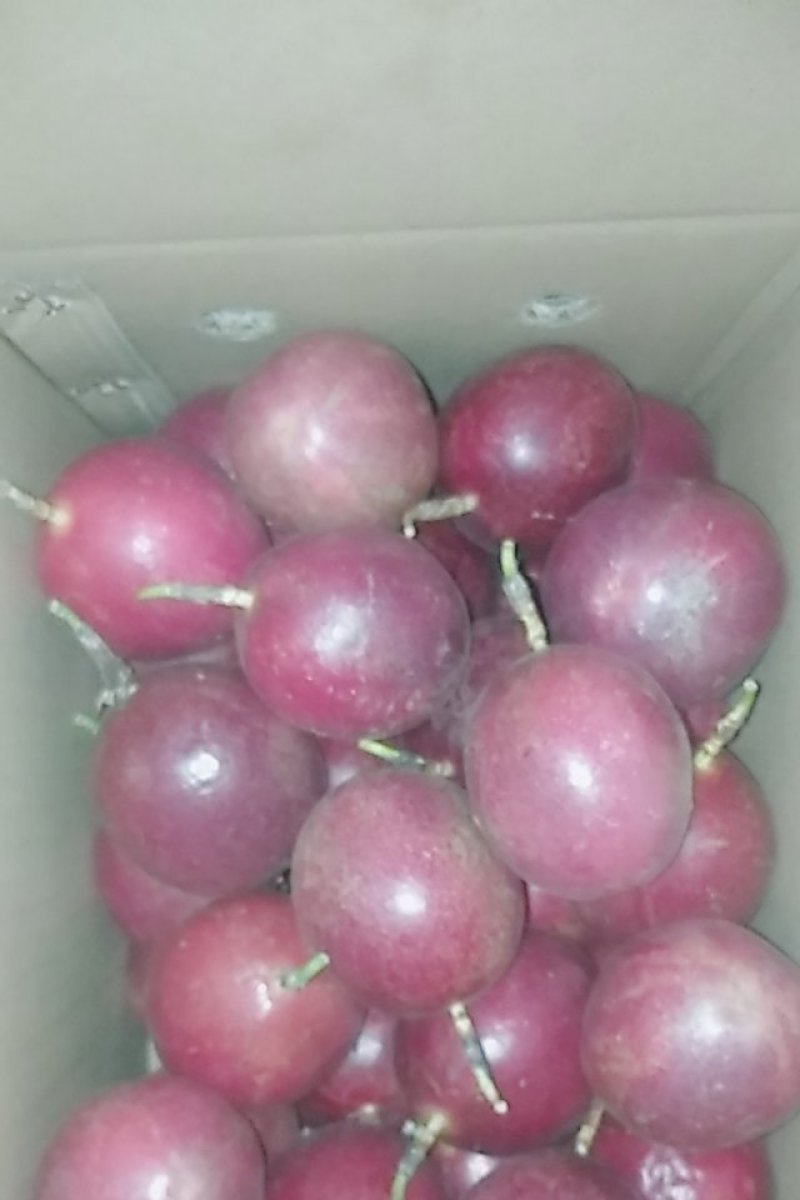 百香果一级中大果，一件代发包邮
