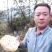 秦岭深山散养活框土蜂蜜41.5°左右