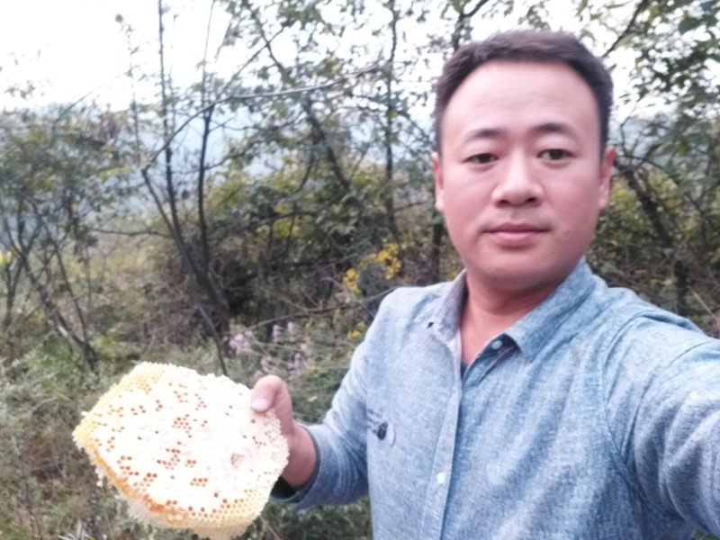 秦岭深山散养活框土蜂蜜41.5°左右