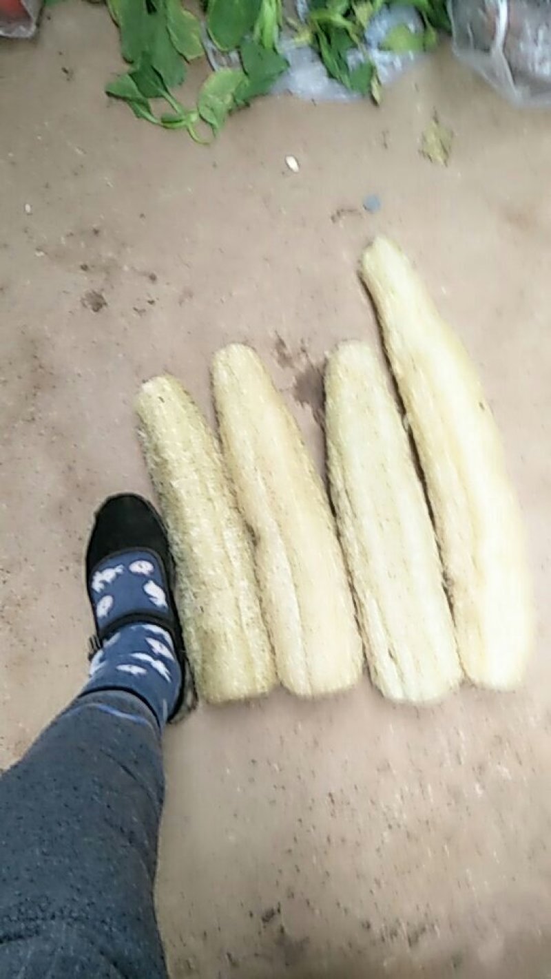 丝瓜络