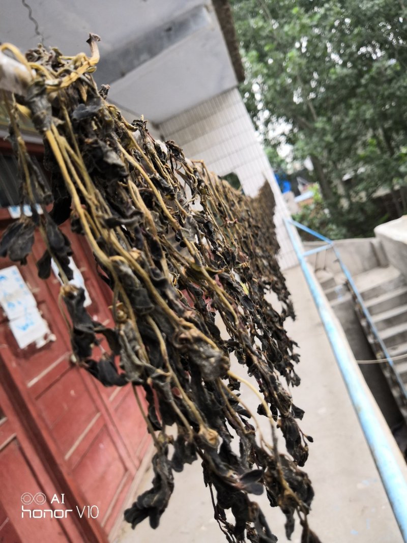 脱水马笕菜
