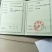 蜜桔苗特早熟宫本苗自产自销品种保证可签合同