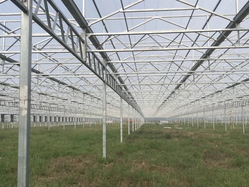 托幕线聚酯线压膜线智能温室连栋薄膜温室专用
