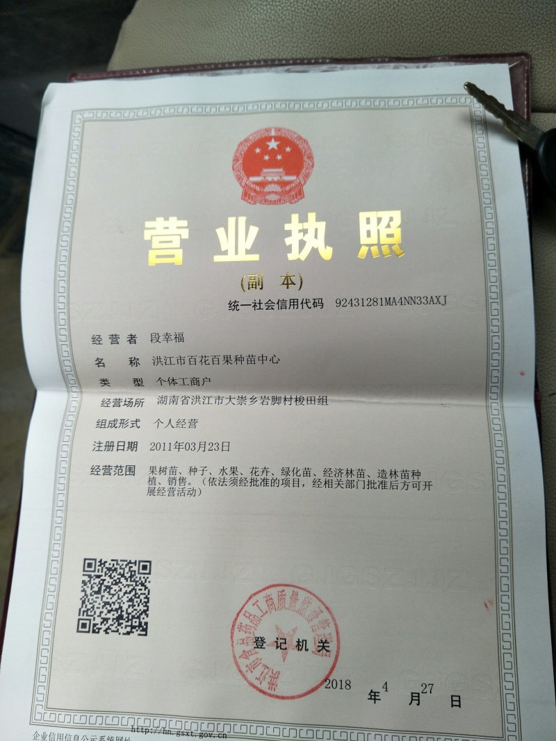 柑桔苗爱媛38红美人苗爱媛28苗根系好。