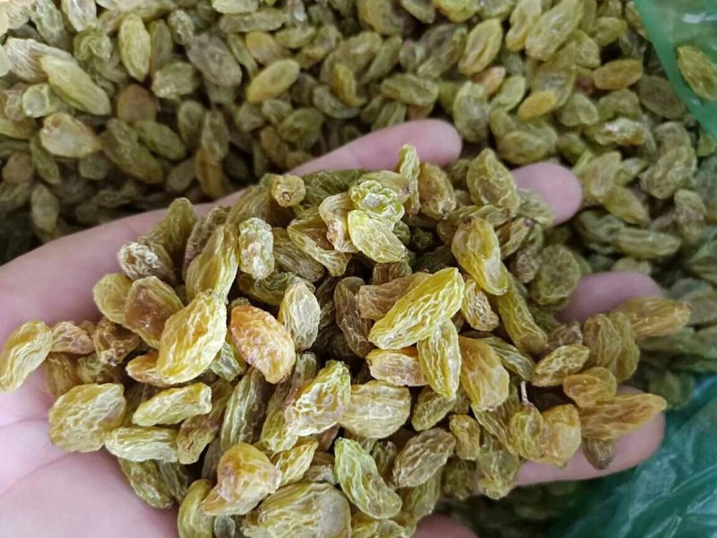 葡萄干